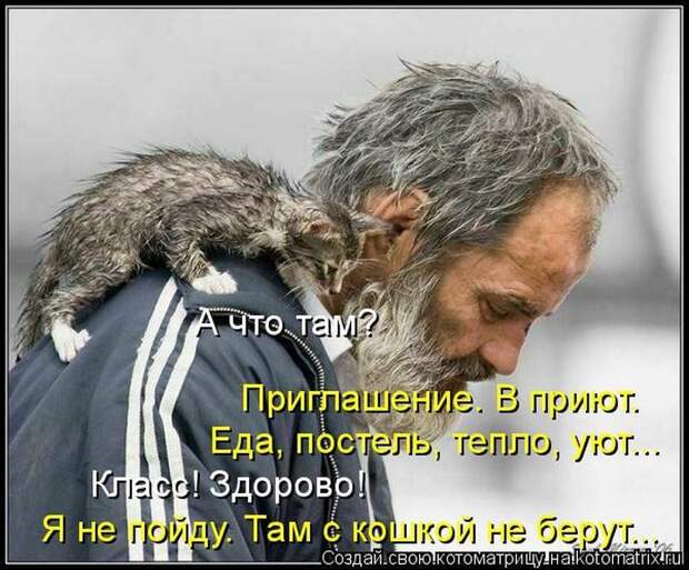 Лучшие котоматрицы недели