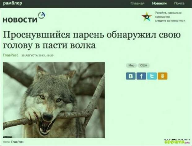 Рейтинг превыше всего