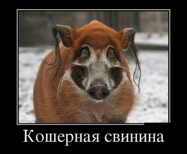 Сборник демотивационных приколов Сборник демотивационных приколов