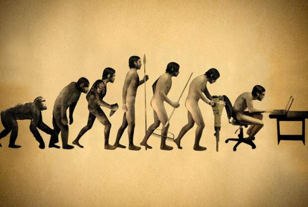 Уменьшение мозга и еще 4 доказательства, что человек продолжает эволюционировать