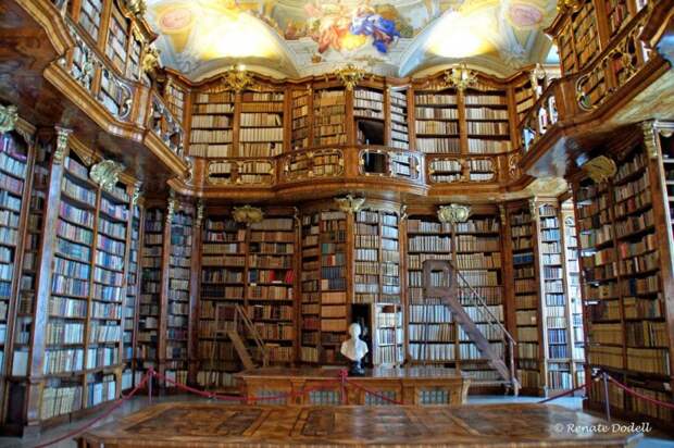 magnifique-bibliotheque-6