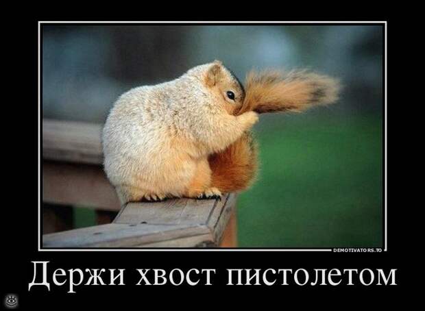Безвозмездные демотиваторы 50