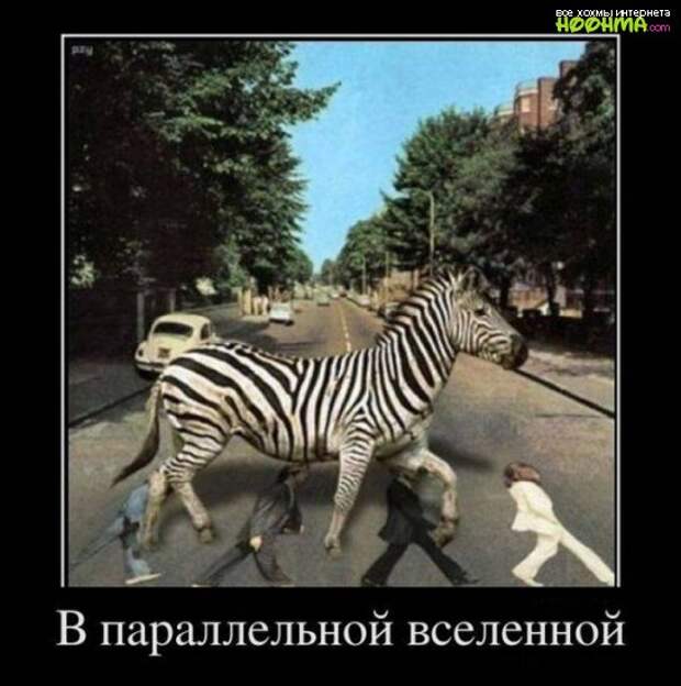 Действительно качественные демотиваторы