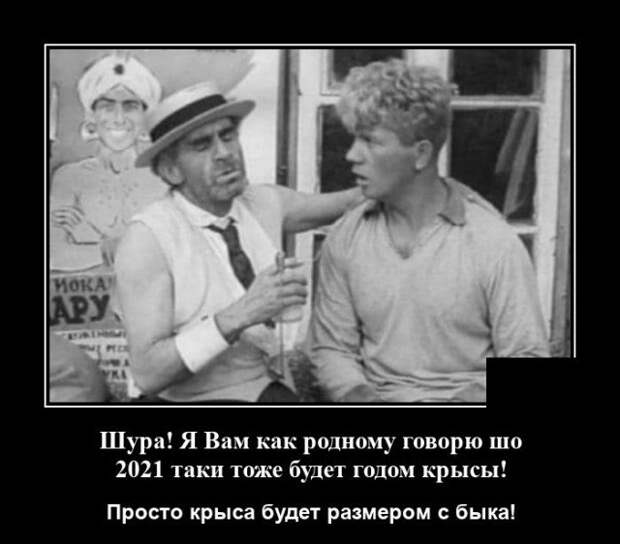 Демотиватор про Шуру