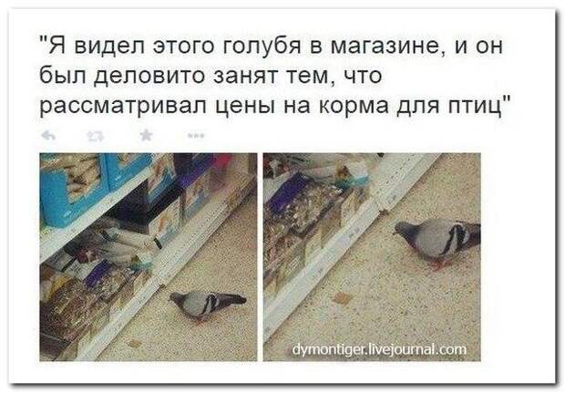 Комментарии из соцсетей