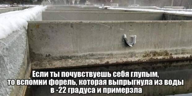Пятничные прикольные картинки и фото (51 шт)