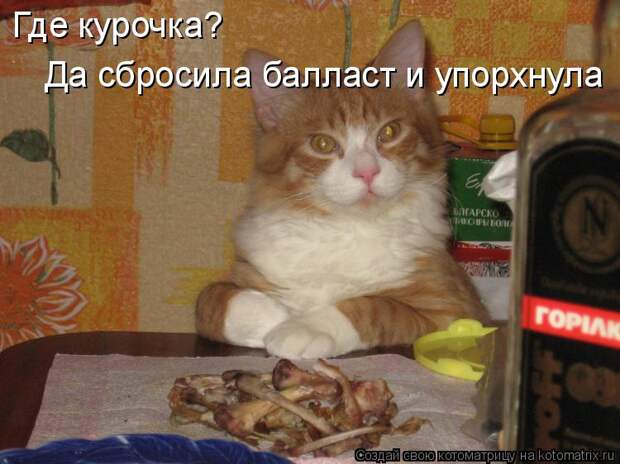 Котоматрица: Где курочка?  Да сбросила балласт и упорхнула
