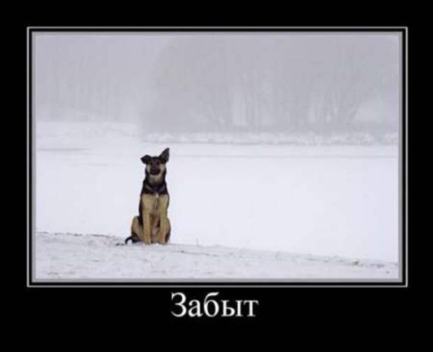Демотиваторы по русски со смыслом.