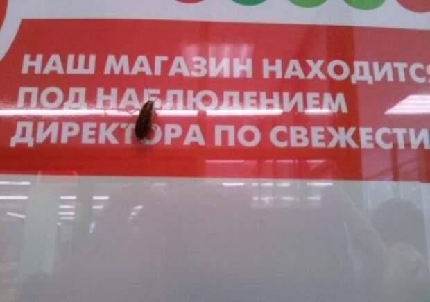Лучшие маразмы года (19 фото)