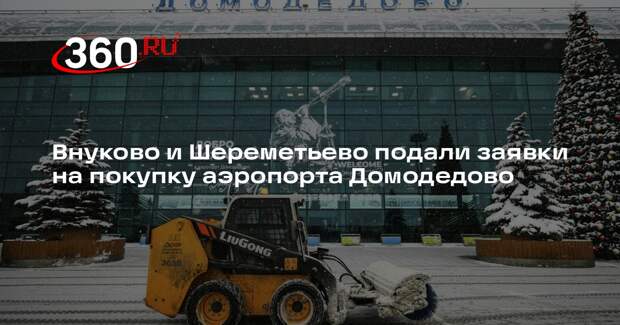 Внуково и Шереметьево подали заявки на покупку аэропорта Домодедово