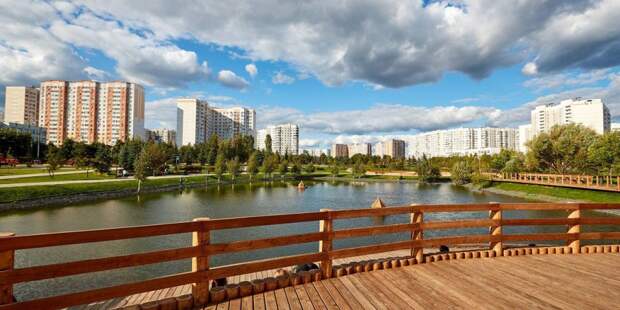 Парк. Фото: mos.ru