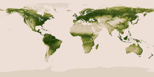 Карта растительности в мире