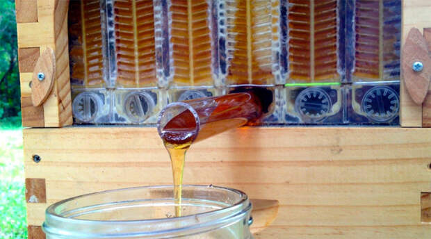 мёд на вынос 