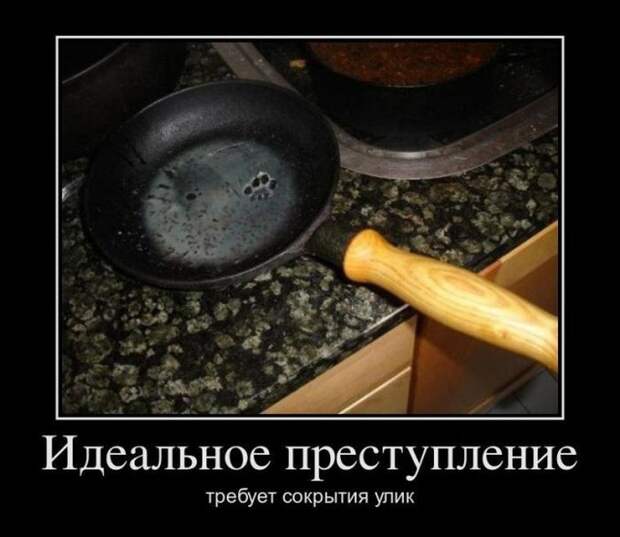 Демотиваторы (30 фото)