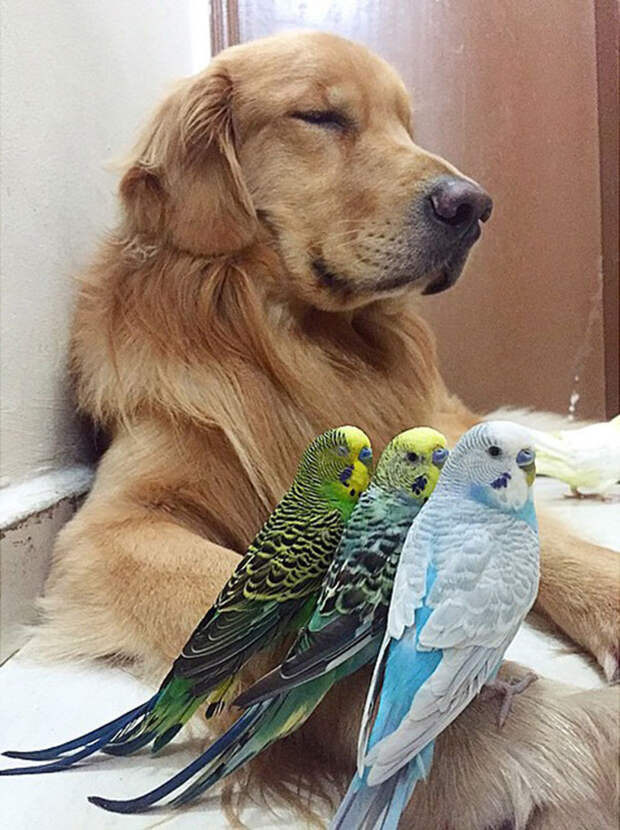 instagram.com
