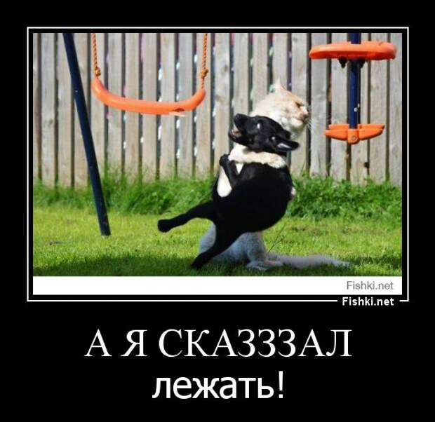 Демотиваторы демотиваторы, прикол, смех, юмор