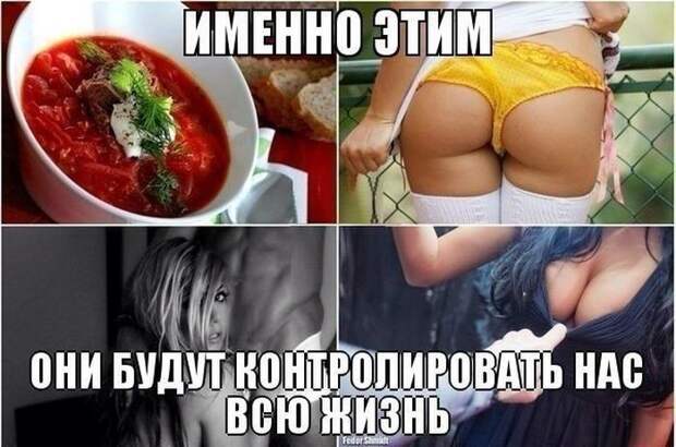 Смешные картинки с подписями катинки, прикол, юмор