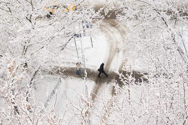 Мощный снегопад пришел в Московский регион