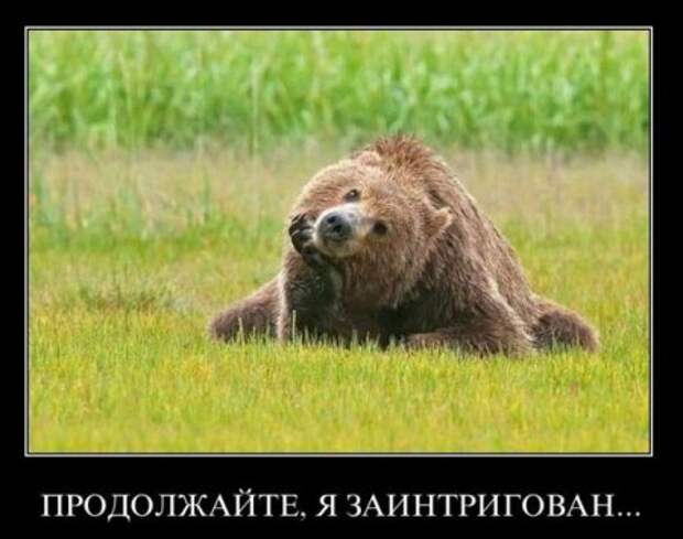Демотиваторы, они прикольные, других и не держим.