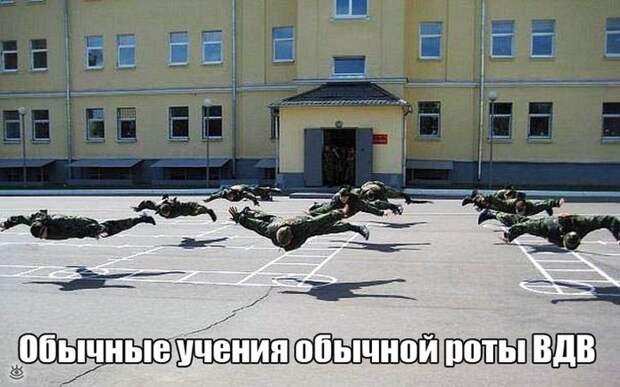 Жизнь в приколах и курьёзах 5