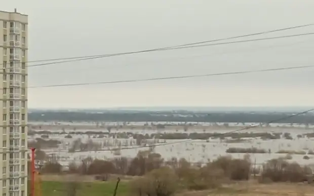 Купить Квартиру В Районе Глобуса Рязань