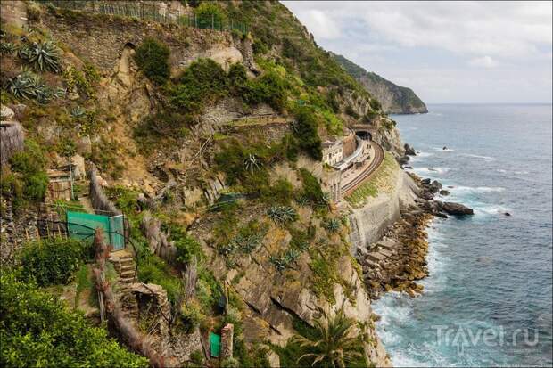 Manarola - прогулка по городу / Фото из Италии