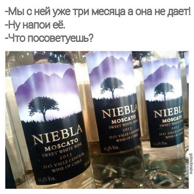 Смешная переписка в соцсетях