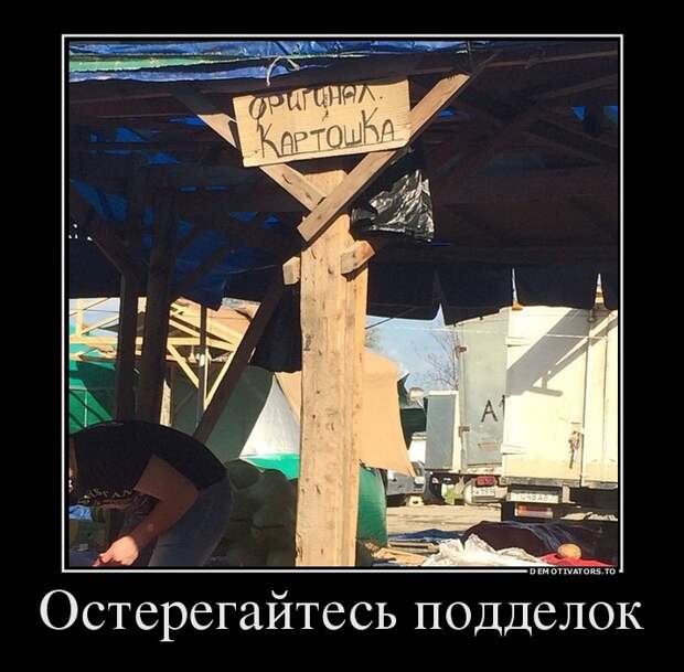 Подборка демотиваторов  демотиватор, юмор