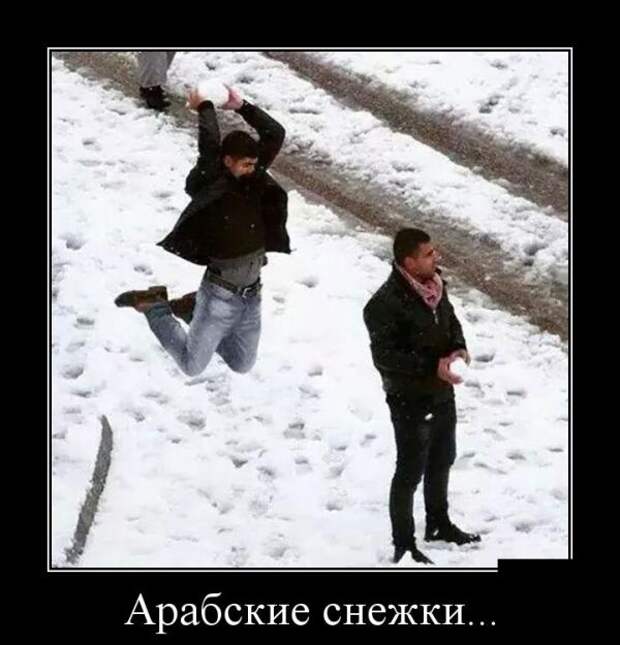 Арабские снежки демотиватор, юмор