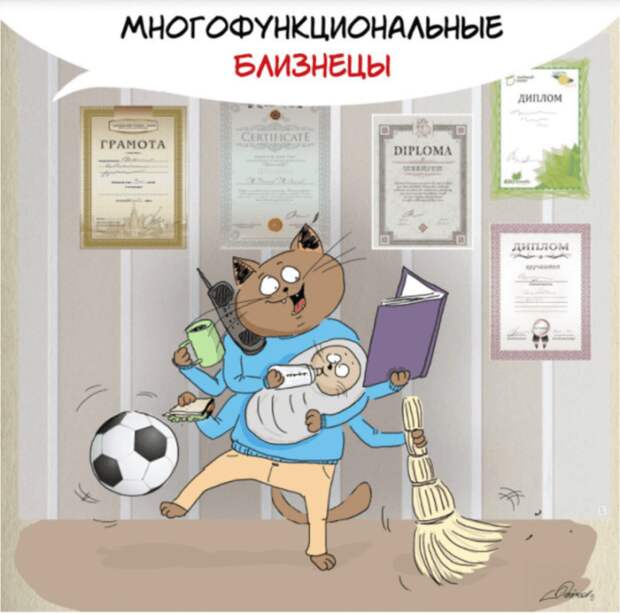 Близнецы