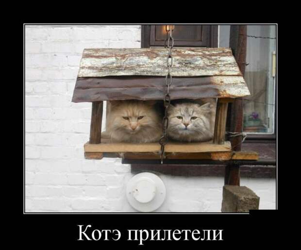 Демотиваторы демотиваторы, юмор
