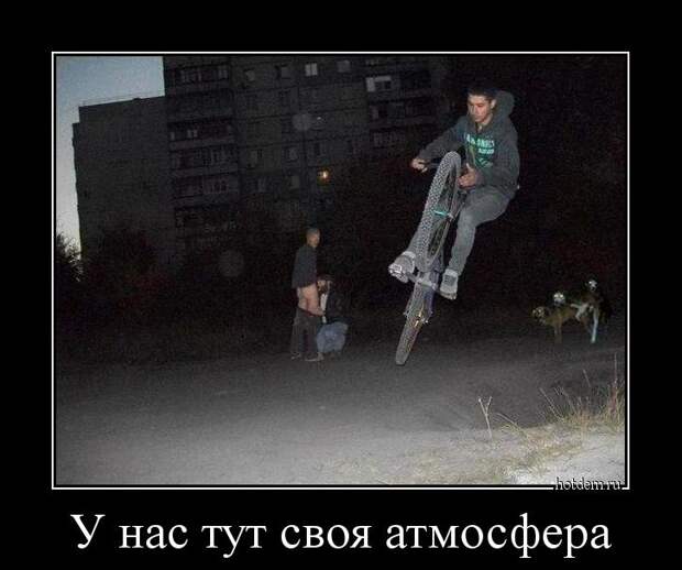 Демотиваторы  демотиваторы, прикол, смех, юмор
