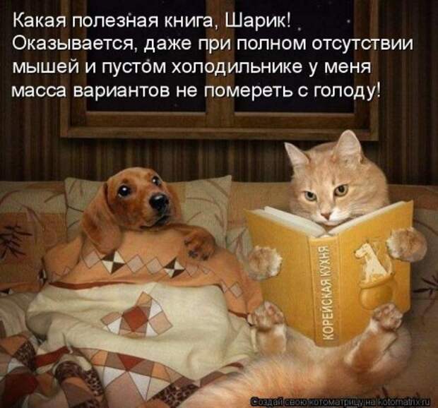 Кошкоматрицы.
