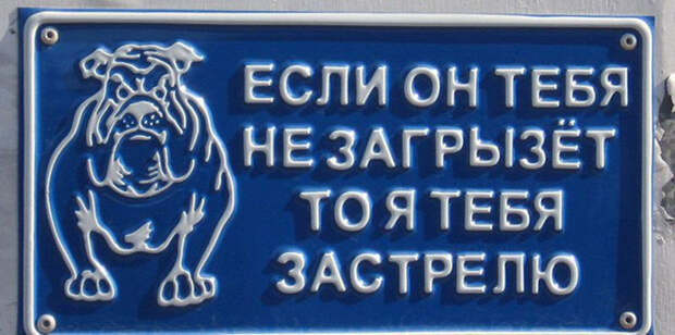 Звучит убедительно: 20 остроумных табличек собака, табличка, юмор