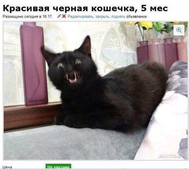 Смешные комментарии из социальных сетей Смешные комментарии из социальных сетей картинки, прикол, соц сети, юмор