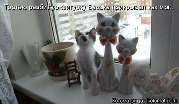 Лучшие котоматрицы недели