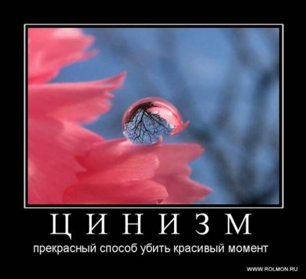 Серьезные и умные демотиваторы.