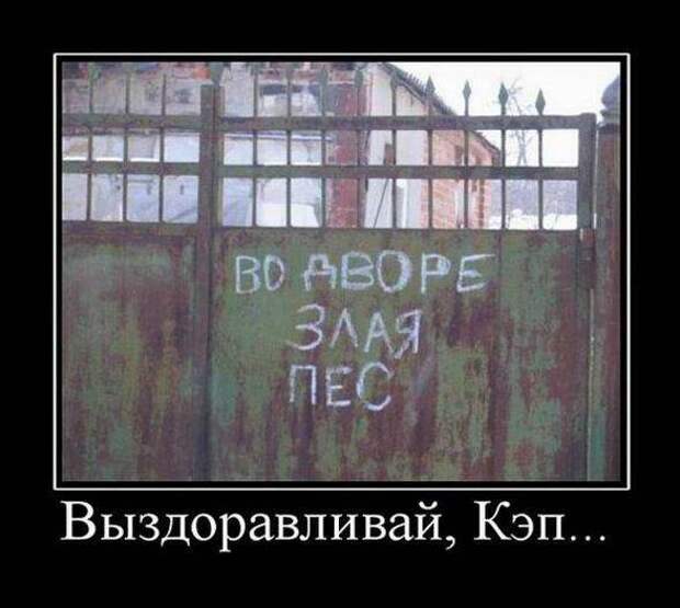 Демотиваторы-приколы (20 фото)
