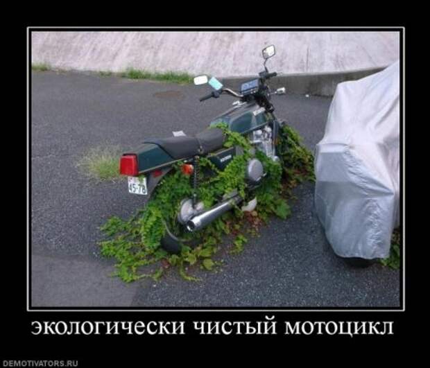 Демотиваторы, приколы без особого смысла.