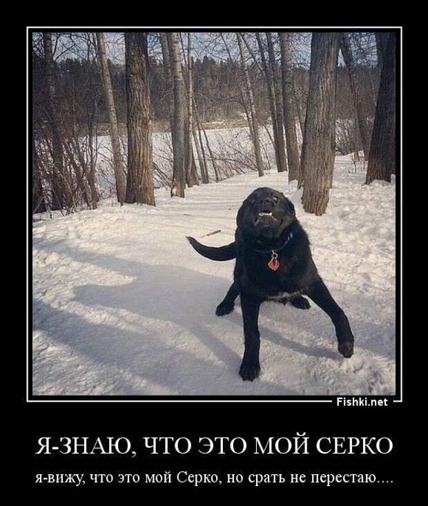 Демотиваторы демотиваторы, прикол, смех, юмор