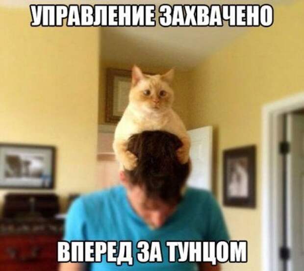 Смехопанорама. Кайф!
