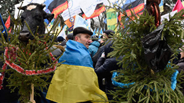 Митинг у здания Верховной Рады Украины. Архивное фото