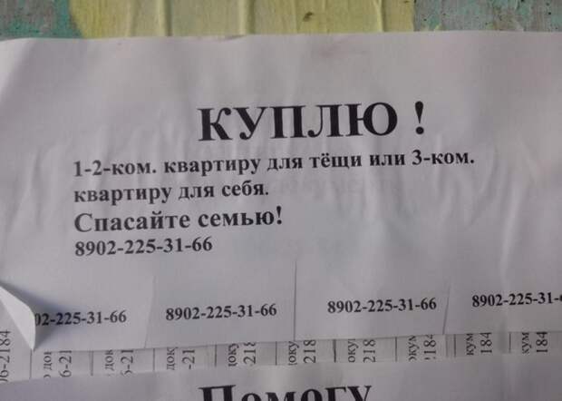 Маразмы месяца маразм, объявление, прикол, юмор
