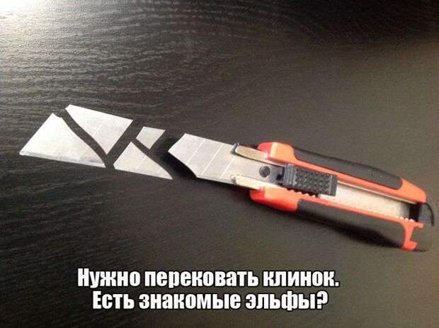 Забавная подбрка фотографий Забавная подбрка фотографий