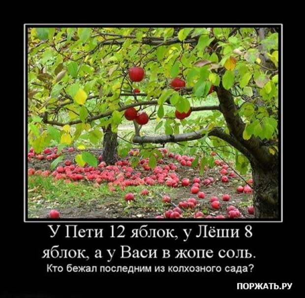 Хотели демотиваторов? Это есть у нас!