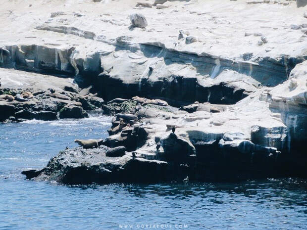 La-Jolla-Cove-San-Diego-4.jpg