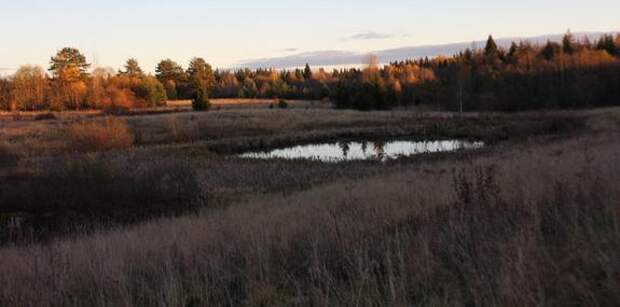 В Ленобласти пересчитают кадастровую стоимость полутора миллионов участков