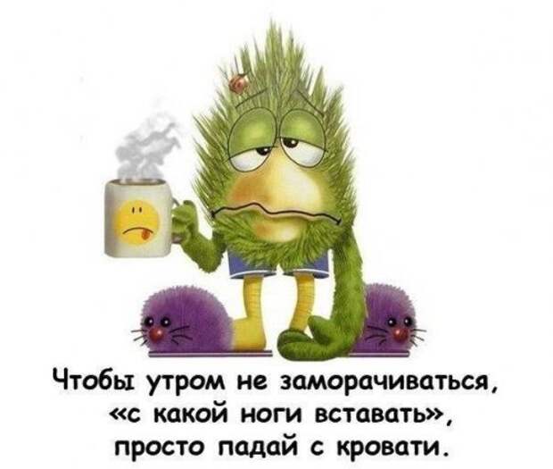 Анекдоты-новинки (13 шт)