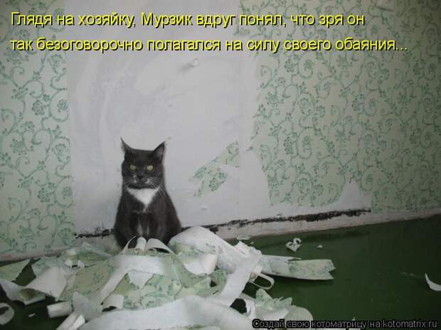 Котоматрица: Глядя на хозяйку, Мурзик вдруг понял, что зря он так безоговорочно полагался на силу своего обаяния...