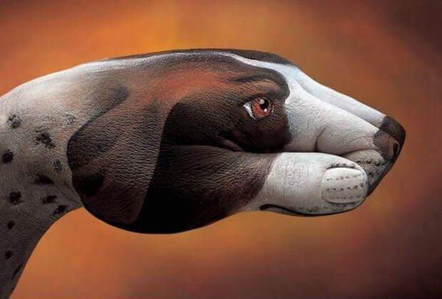 Рисунки на руках собака